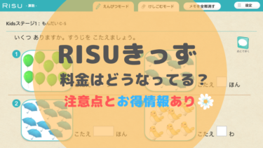 【公式】のネット通販 RISU 算数★お値下げしました その他